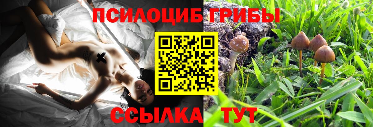 Псилоцибиновые грибы GOLDEN TEACHER Алапаевск