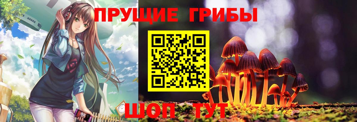 Псилоцибиновые грибы GOLDEN TEACHER  Вход с VPN  Галлюциногенные грибы прущие грибы  Алапаевск 